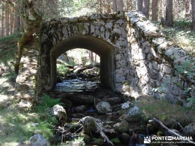 Entre el Puerto y Chorro de Navafría;singles con niños madrid excursiones por toledo